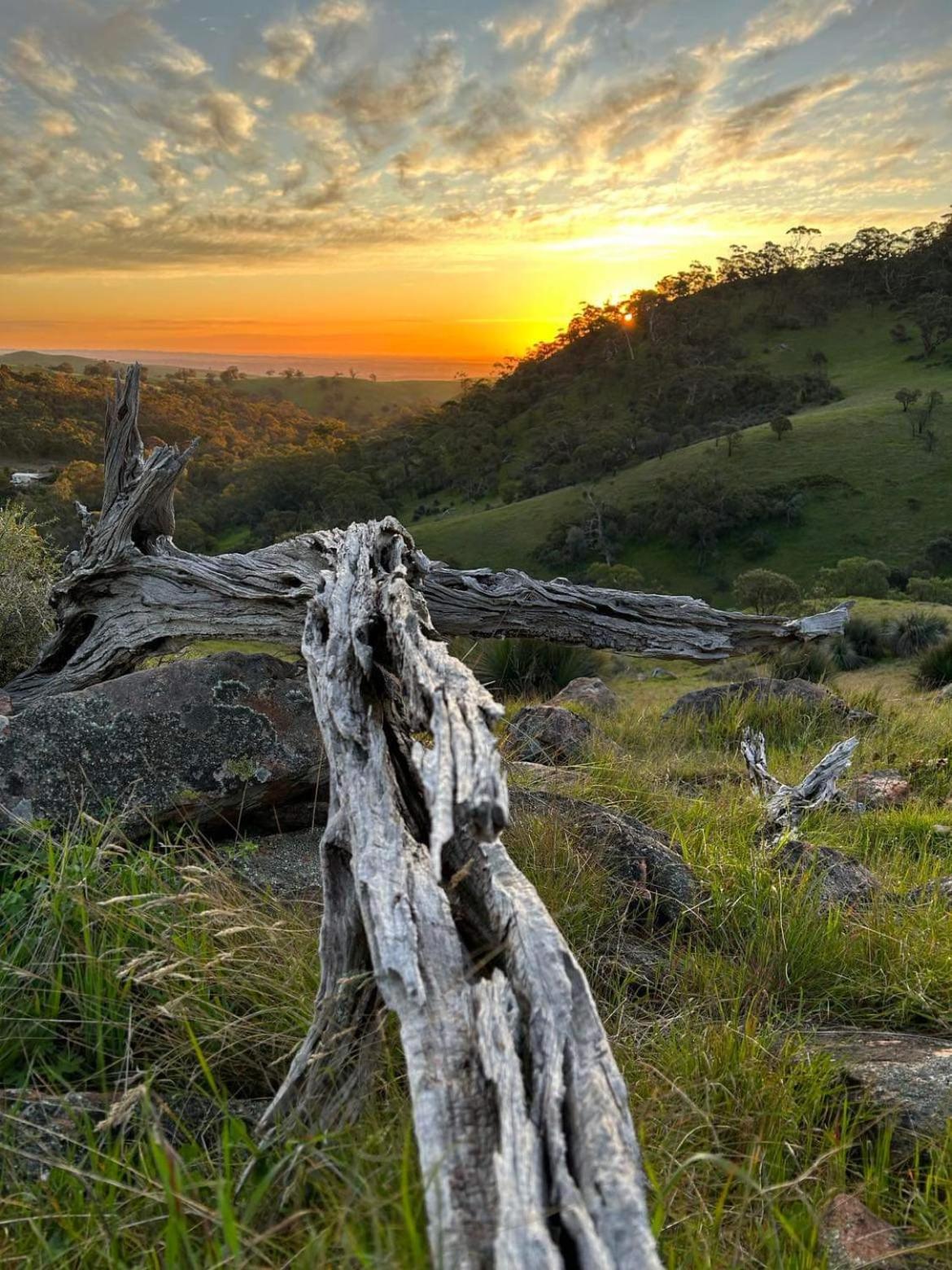 Villa Kaiser Ridge - Eco Bethany