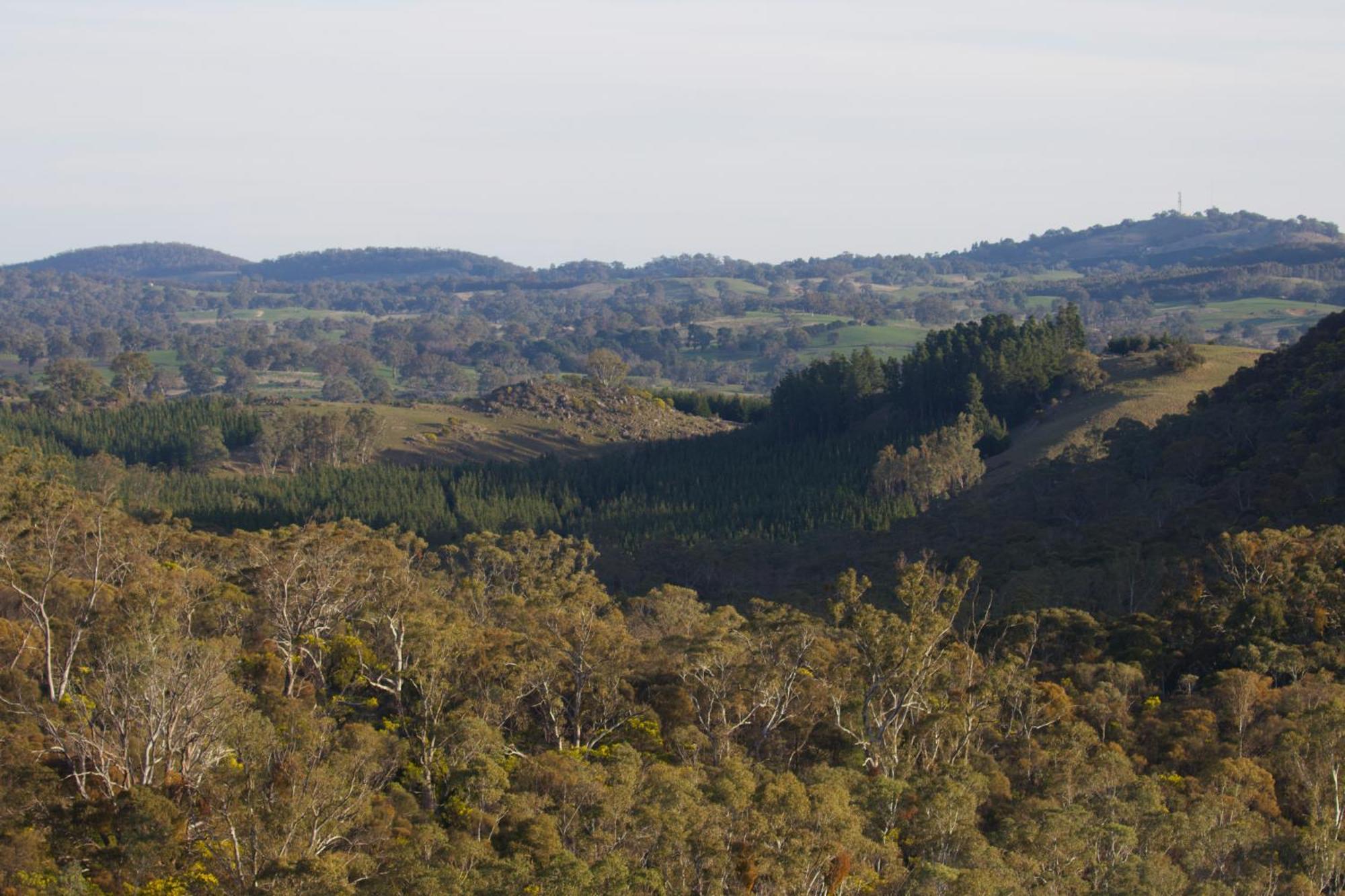 Villa Kaiser Ridge - Eco Bethany